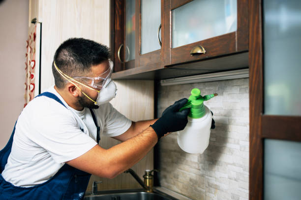 Best Wildlife Control Services  in Montrose Ghent, OH