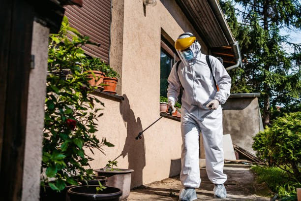 Best Insect Control  in Montrose Ghent, OH