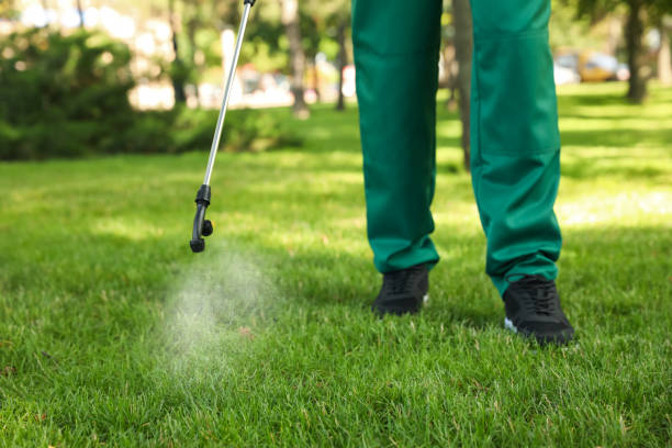 Best Pest Control Near Me  in Montrose Ghent, OH