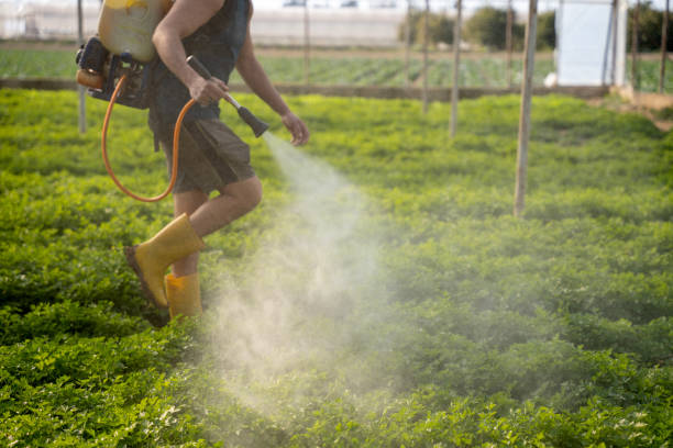 Best Residential Pest Control  in Montrose Ghent, OH