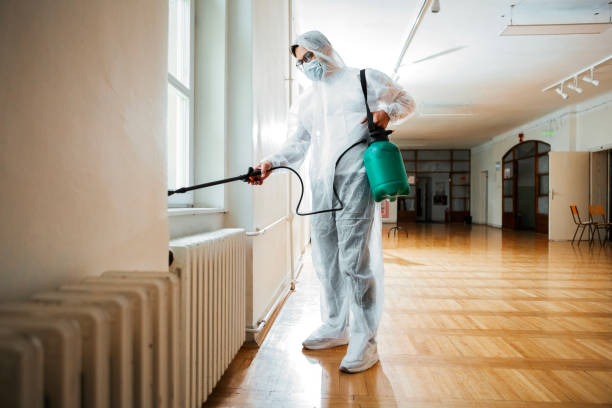 Best Pest Removal Services  in Montrose Ghent, OH