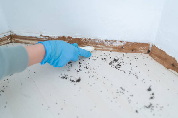 Best Pest Inspection Near Me  in Montrose Ghent, OH