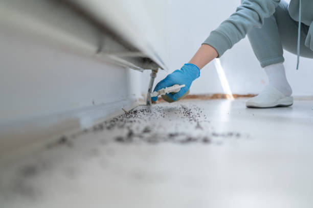 Best Pest Prevention Services  in Montrose Ghent, OH